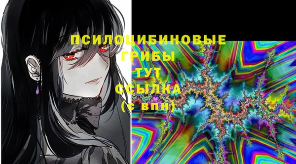 марки lsd Богородицк