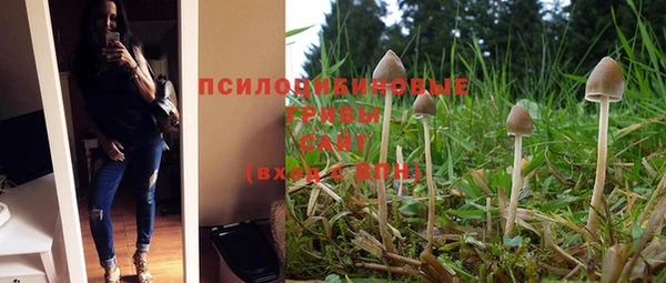 кокс Богданович